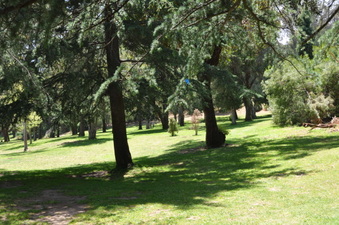 Enlarge photo 9