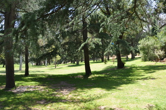 Enlarge photo 7
