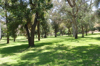 Enlarge photo 15