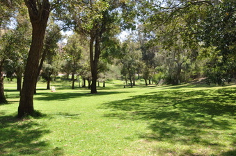 ELYSIAN - GRACE SIMMON LODGE AREA