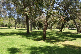 Enlarge photo 14