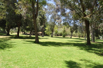 Enlarge photo 11
