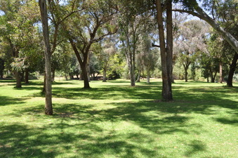 Enlarge photo 3
