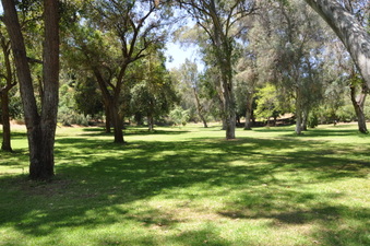 Enlarge photo 6