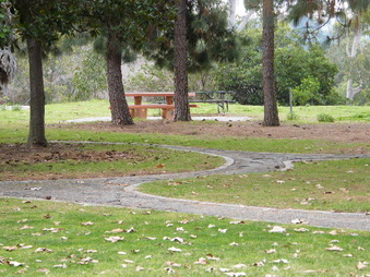 Enlarge photo 13