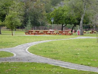 Enlarge photo 18