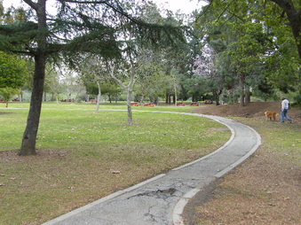 Enlarge photo 15
