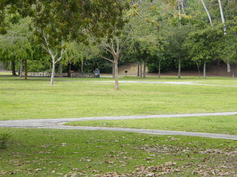 Enlarge photo 21