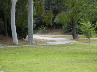 Enlarge photo 14