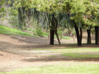 Enlarge photo 27