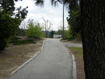 Enlarge photo 22