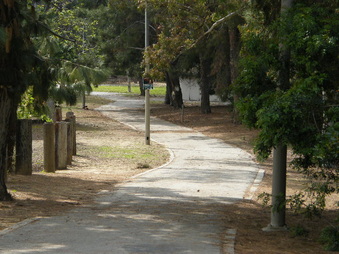 Enlarge photo 23