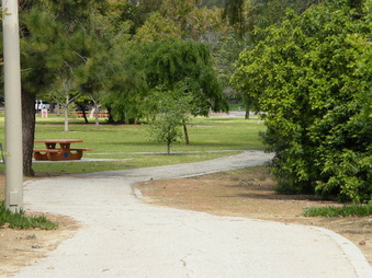 Enlarge photo 20