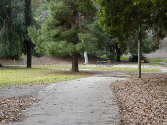 Enlarge photo 19