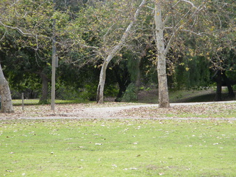 Enlarge photo 28