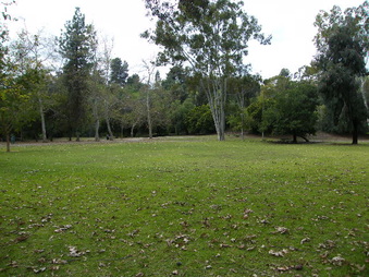 Enlarge photo 25