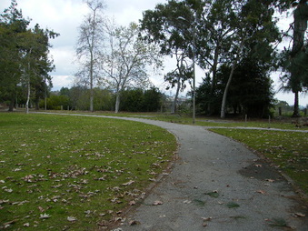 Enlarge photo 31