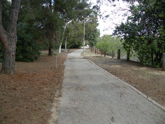 Enlarge photo 29