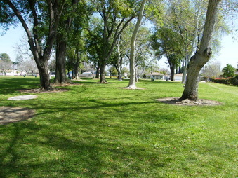 Enlarge photo 15