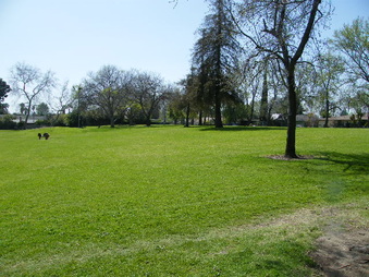 Enlarge photo 2