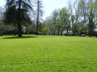 ERWIN PARK