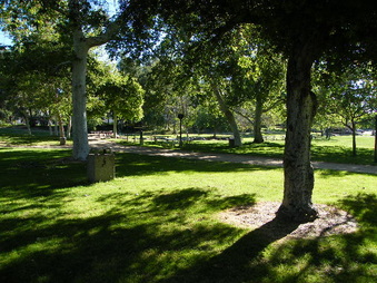 Enlarge photo 13