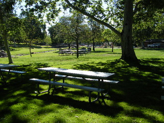 Enlarge photo 7