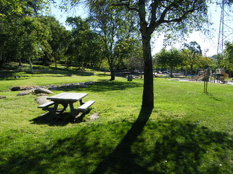 Enlarge photo 19