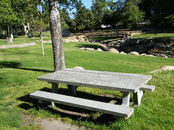 Enlarge photo 16