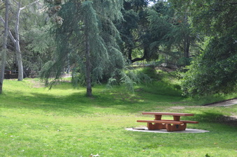 Enlarge photo 4