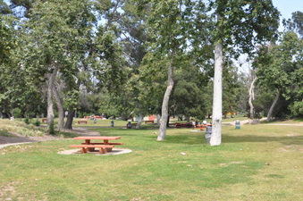LOWER OLD ZOO AREA