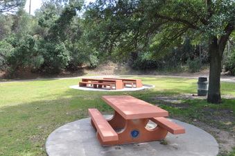 Enlarge photo 5