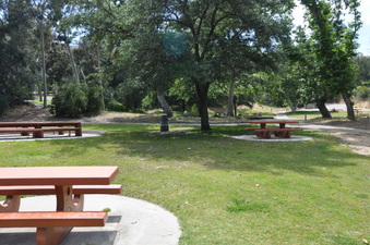 Enlarge photo 7