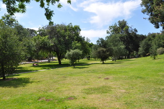 Enlarge photo 7