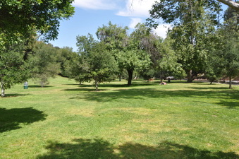 Enlarge photo 15