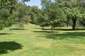 Enlarge photo 16