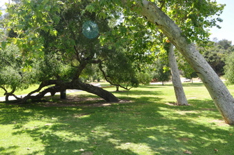 Enlarge photo 20