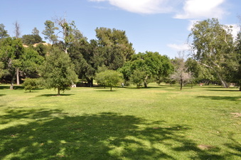 Enlarge photo 19