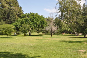 Enlarge photo 14