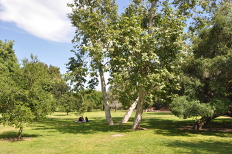 Enlarge photo 17