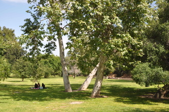 Enlarge photo 8