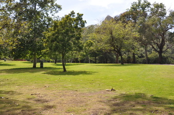 Enlarge photo 16