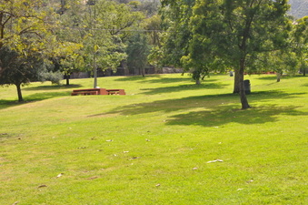Enlarge photo 10