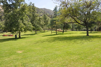 Enlarge photo 9