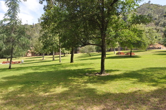 OLD ZOO AREA