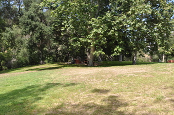 Enlarge photo 12