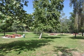 Enlarge photo 26