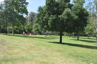 Enlarge photo 22
