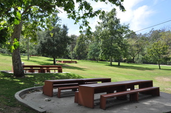 Enlarge photo 24