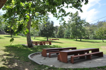 Enlarge photo 25